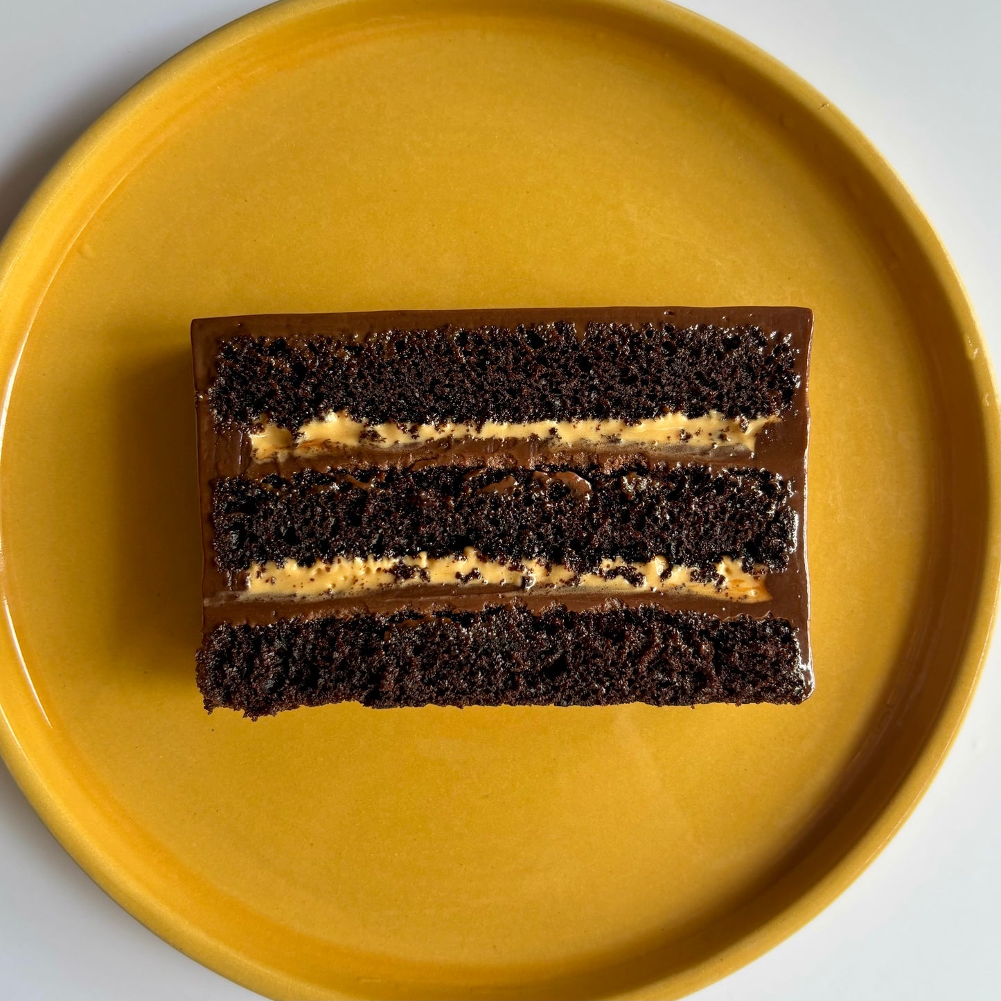 Soft Chocolate and Whipped Salted Caramel Cake Slice